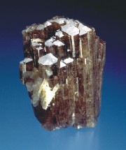 Tourmaline Crystal, Stargazer Claim, 6 cm tall